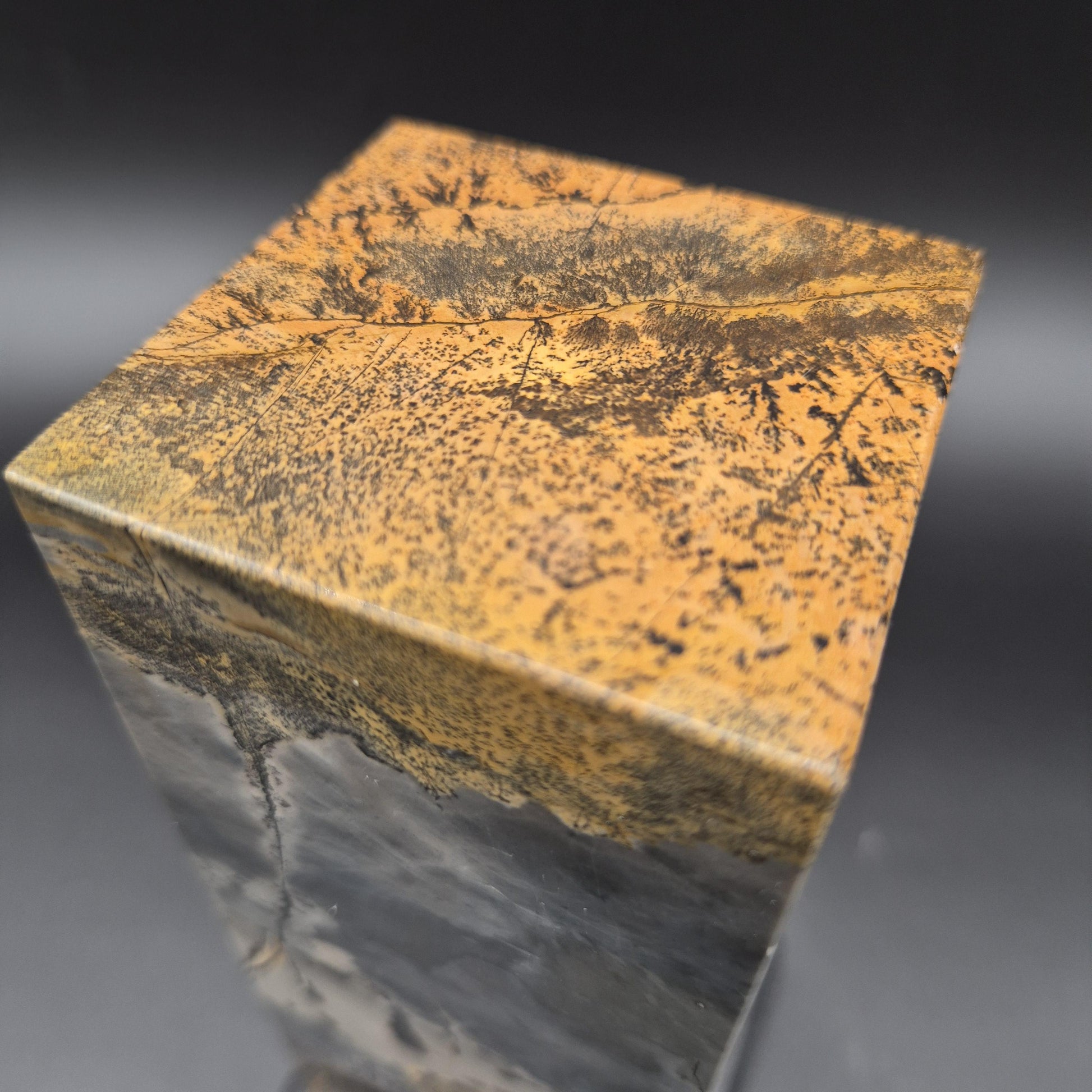 AAA+ Picture Jasper on Wood Base | Dark Gray & Earth Tones Natural Scenic Stone | 3.48 lbs Crystal Hoarder