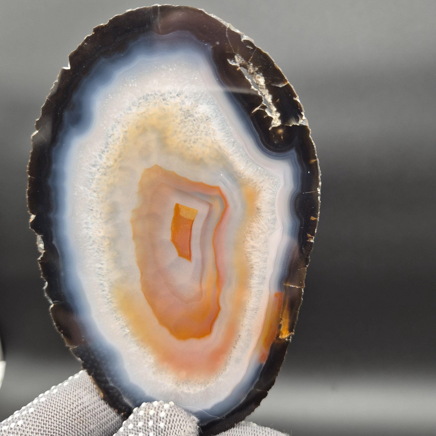AAA Translucent Agate Slices with Carnelian - Set of 3 | 4.5in–5.5in Natural Druzy Quartz | 0.61 lbs Crystal Hoarder