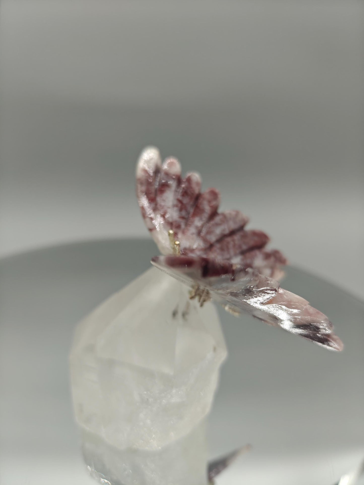 Red & Pink Jasper Butterfly on Clear Quartz Point - Brazil - 4 x 3.5in - 10.45 oz Crystal Hoarder