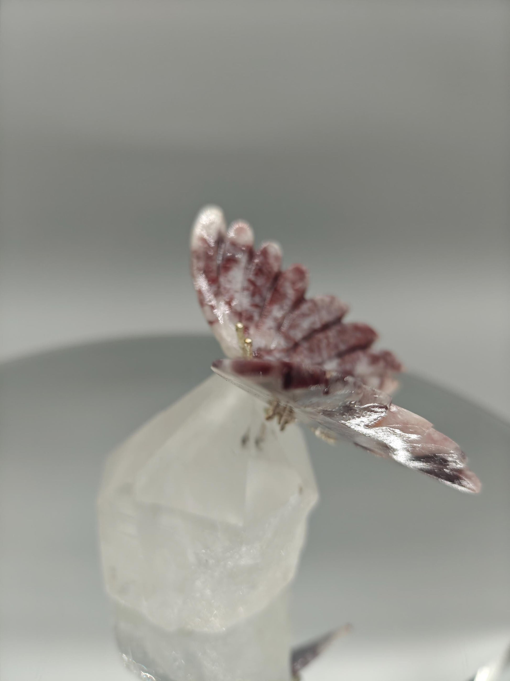 Red & Pink Jasper Butterfly on Clear Quartz Point - Brazil - 4 x 3.5in - 10.45 oz Crystal Hoarder