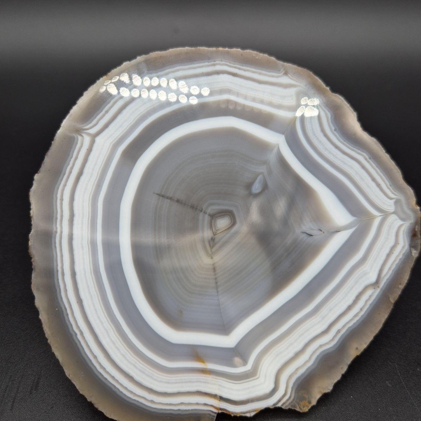 AAA+ Blue Banded Agate Geode from Uruguay 1.43 lbs Crystal Hoarder Crystal Hoarder