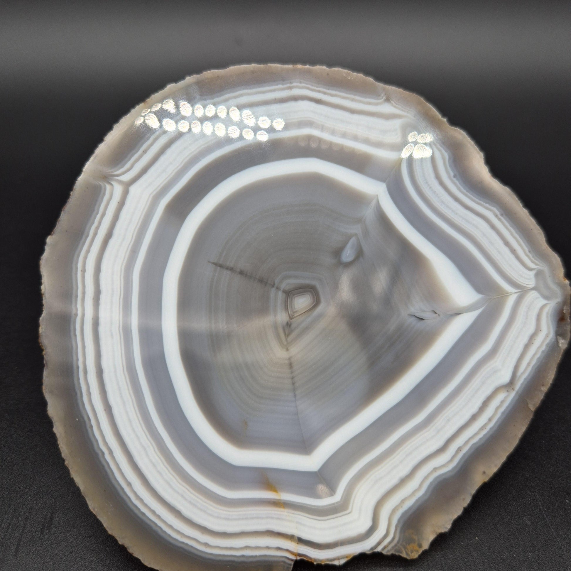 AAA+ Blue Banded Agate Geode from Uruguay 1.43 lbs Crystal Hoarder Crystal Hoarder