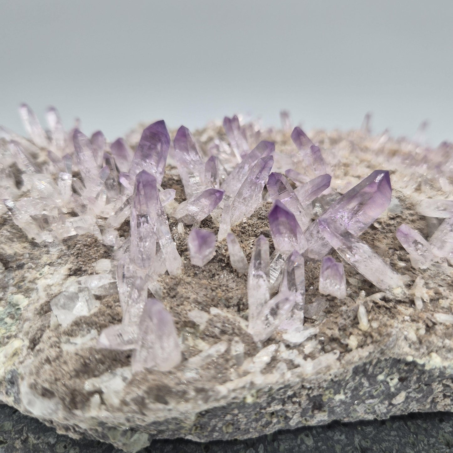 Museum Quality Veracruz Amethyst Cluster | Hundreds of Perfect Points | Veracruz Mexico | Collector Specimen Crystal Hoarder