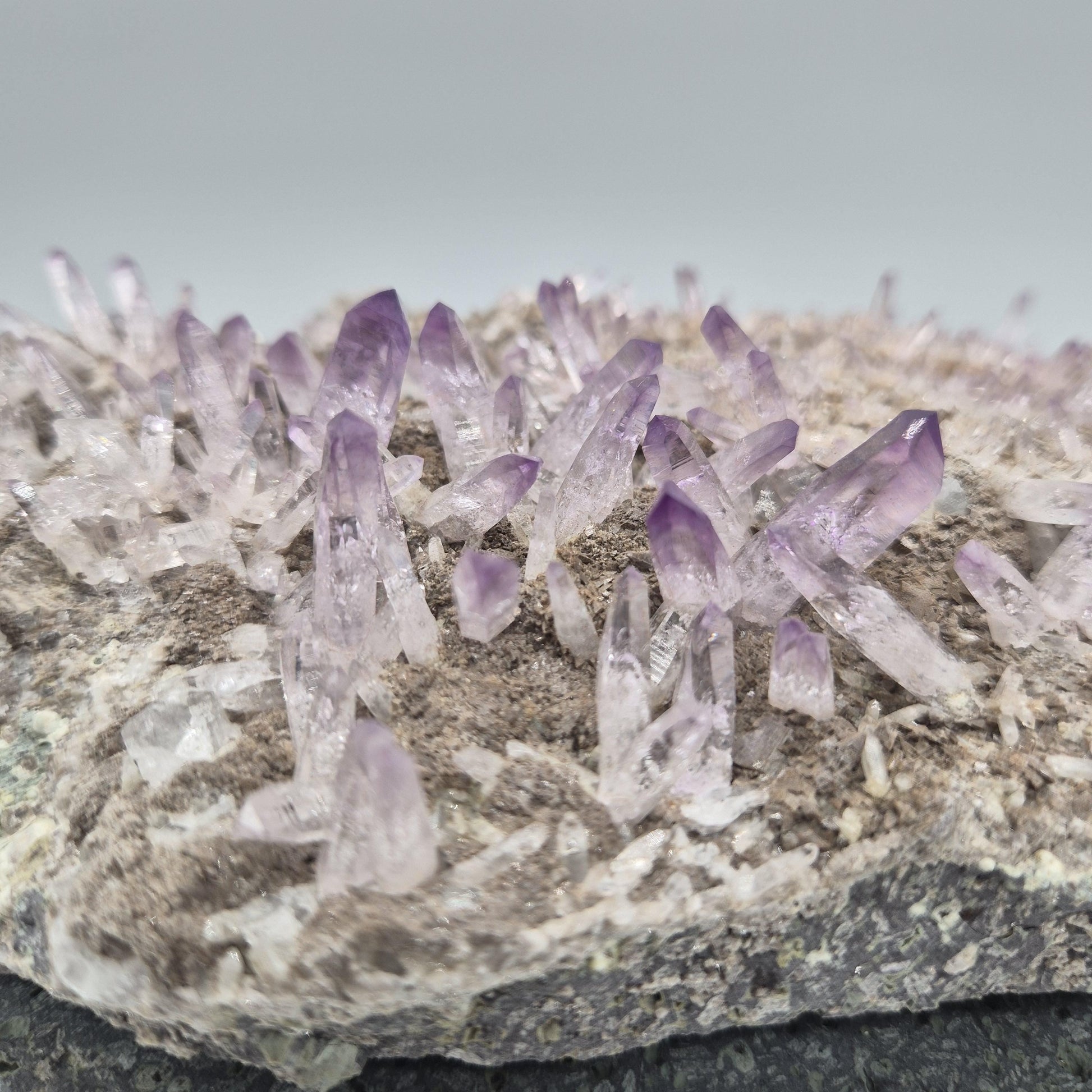 Museum Quality Veracruz Amethyst Cluster | Hundreds of Perfect Points | Veracruz Mexico | Collector Specimen Crystal Hoarder