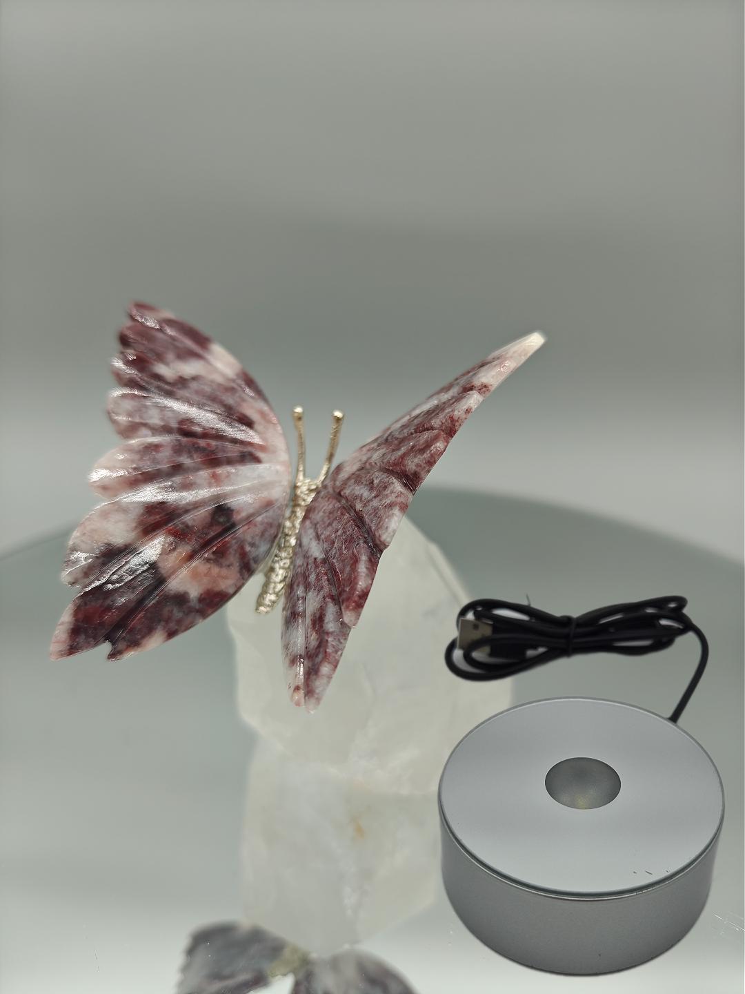 Red & Pink Jasper Butterfly on Clear Quartz Point - Brazil - 4 x 3.5in - 10.45 oz Crystal Hoarder