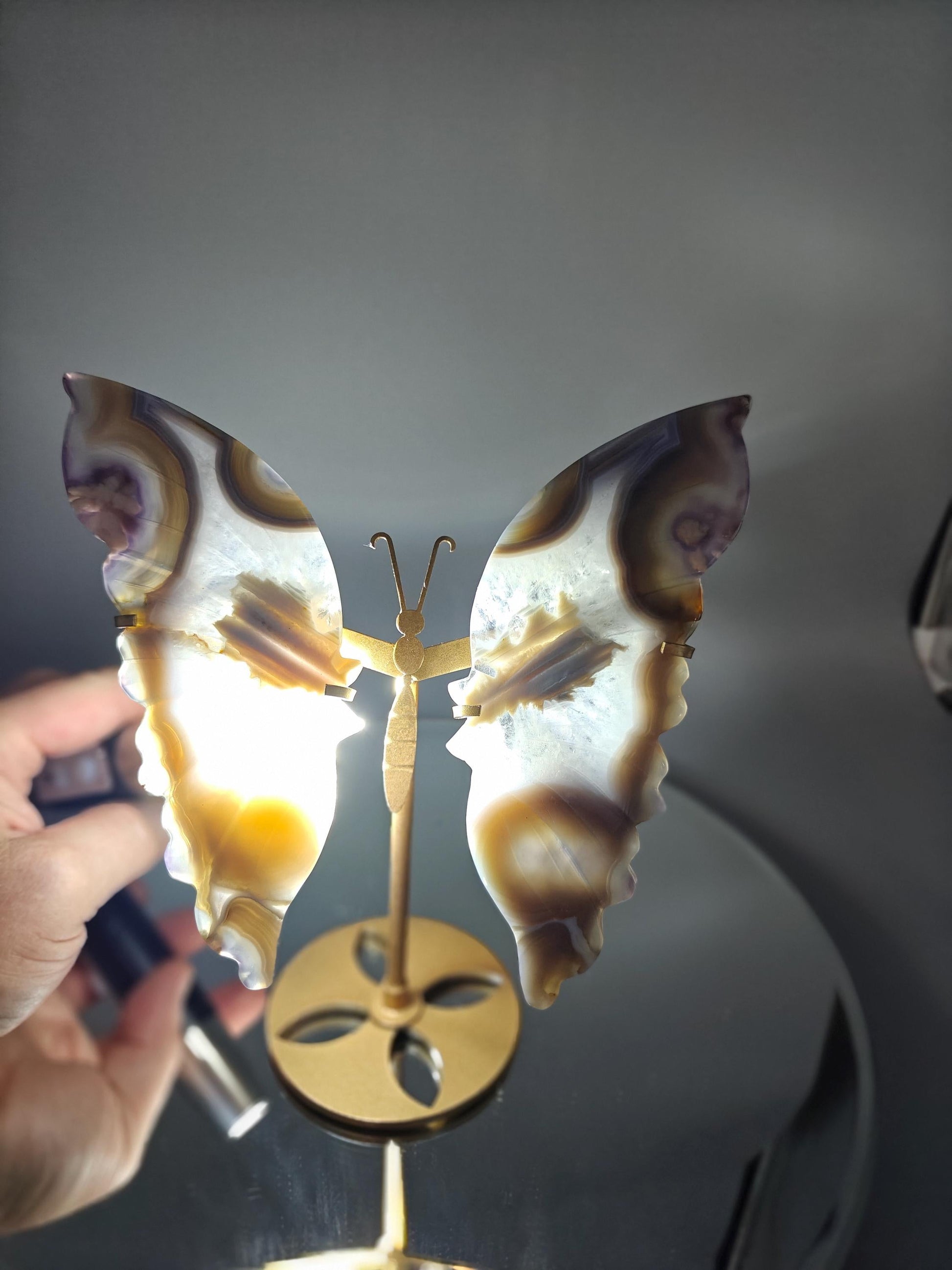 AAA+ Perfect Black Flower Agate Butterfly on Stand - Backlit Display - 8 x 6.5in - 12.45 oz - Unique Crystal Decor Crystal Hoarder