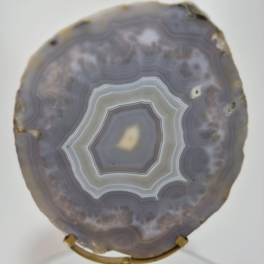 Blue Banded Agate Slice from Brazil - Can be Backlit! Crystal Hoarder