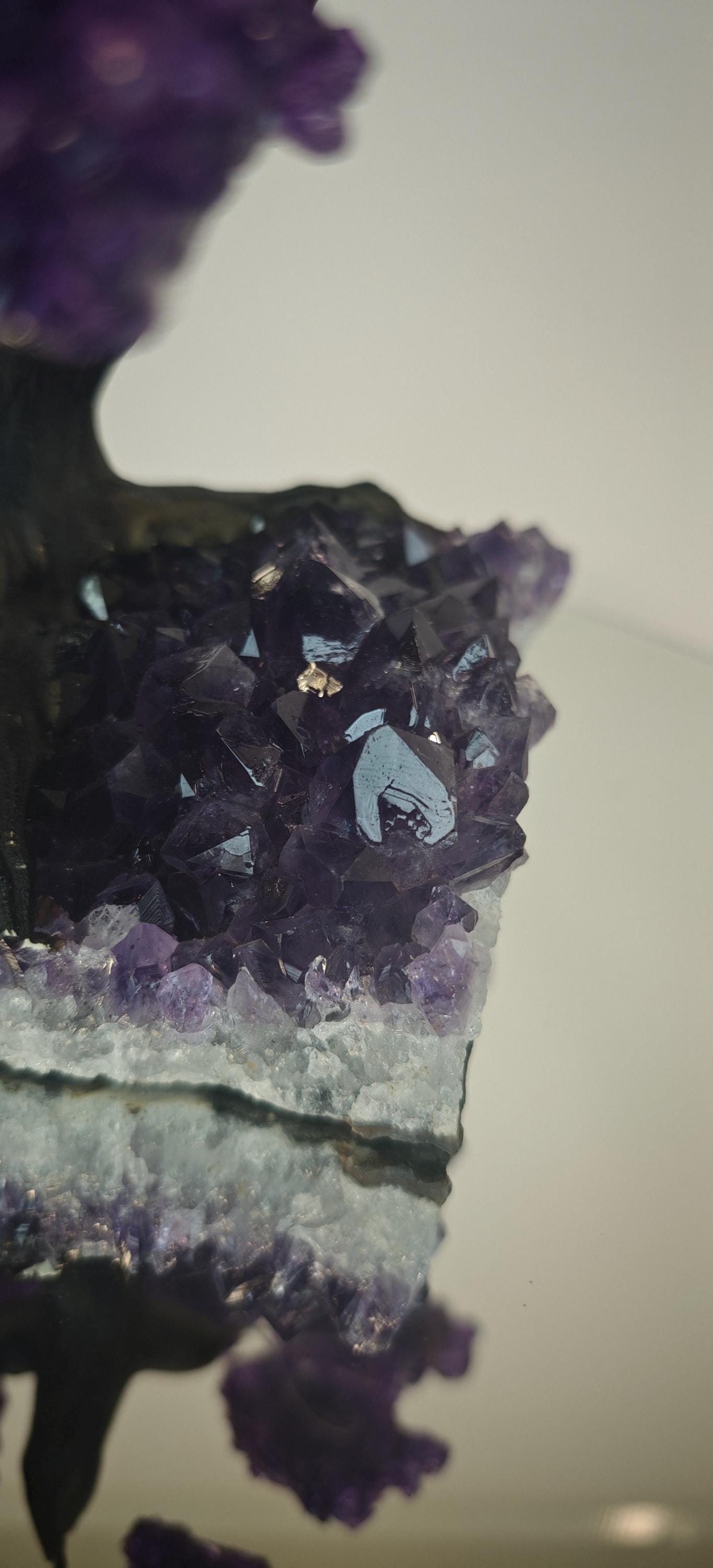 High Quality Grape Jelly Amethyst Tree on Cluster -  Product of Uruguay Crystal Hoarder