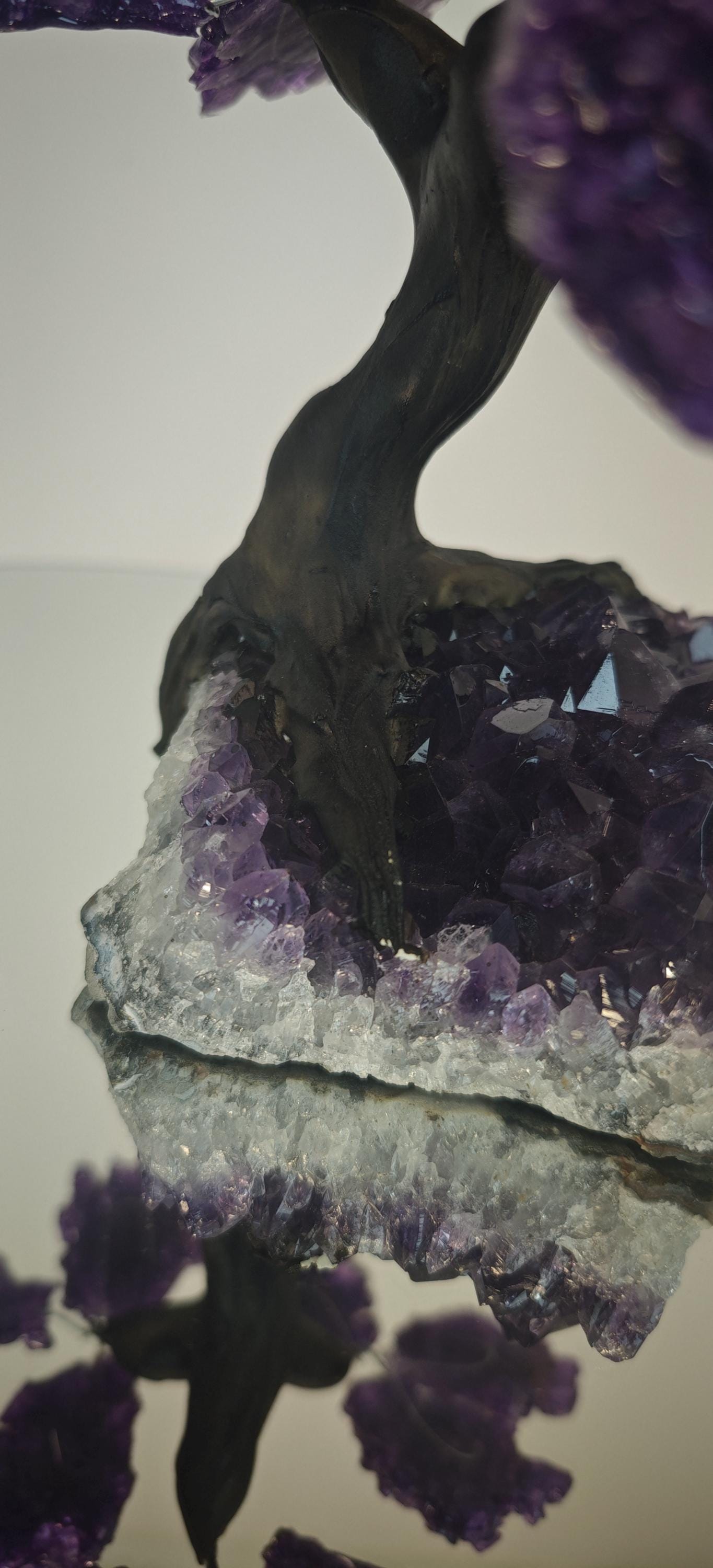 High Quality Grape Jelly Amethyst Tree on Cluster -  Product of Uruguay Crystal Hoarder