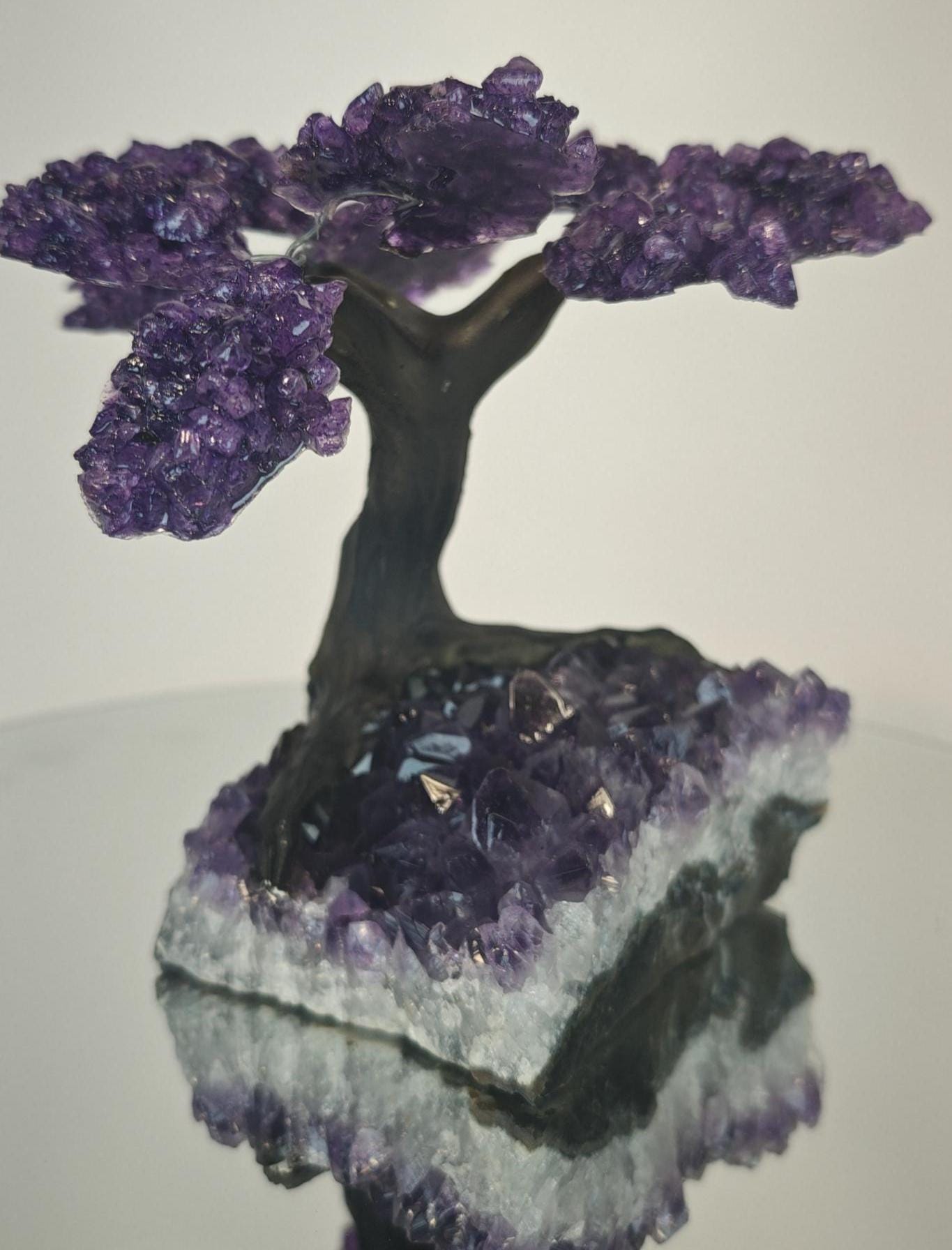 High Quality Grape Jelly Amethyst Tree on Cluster -  Product of Uruguay Crystal Hoarder