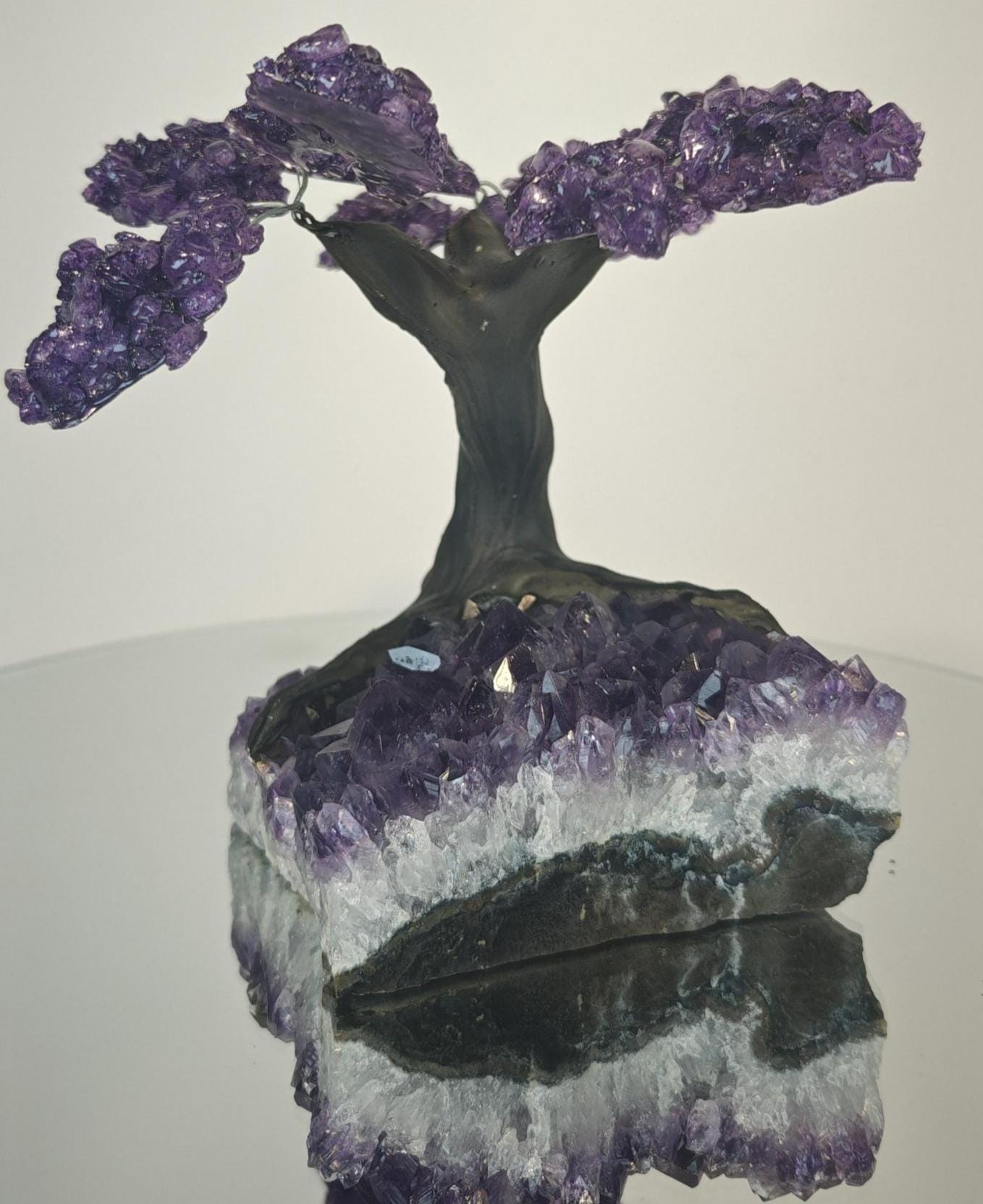 High Quality Grape Jelly Amethyst Tree on Cluster -  Product of Uruguay Crystal Hoarder