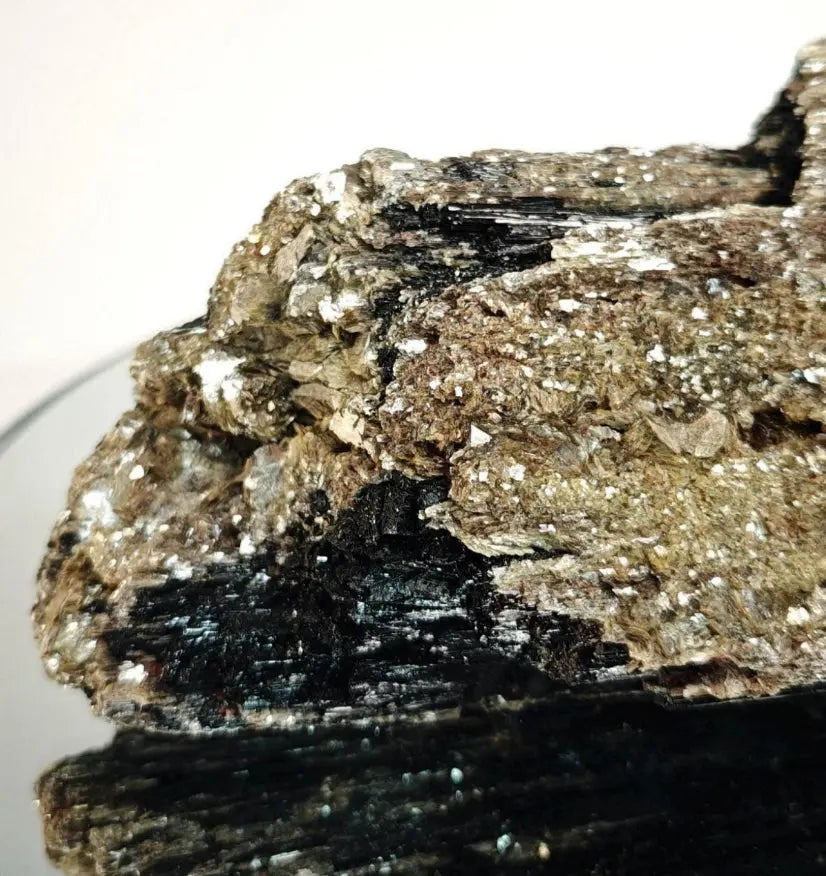 Black Tourmaline with Gold Mica - Beautiful Natural Piece from Brazil Crystal Hoarder