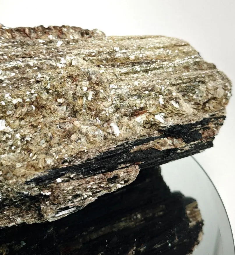 Black Tourmaline with Gold Mica - Beautiful Natural Piece from Brazil Crystal Hoarder