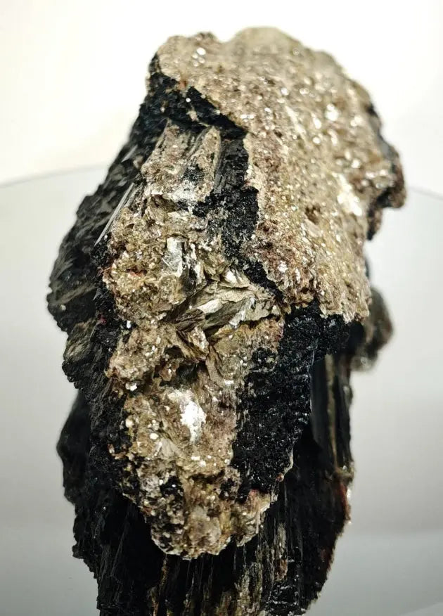 Black Tourmaline with Gold Mica - Beautiful Natural Piece from Brazil Crystal Hoarder